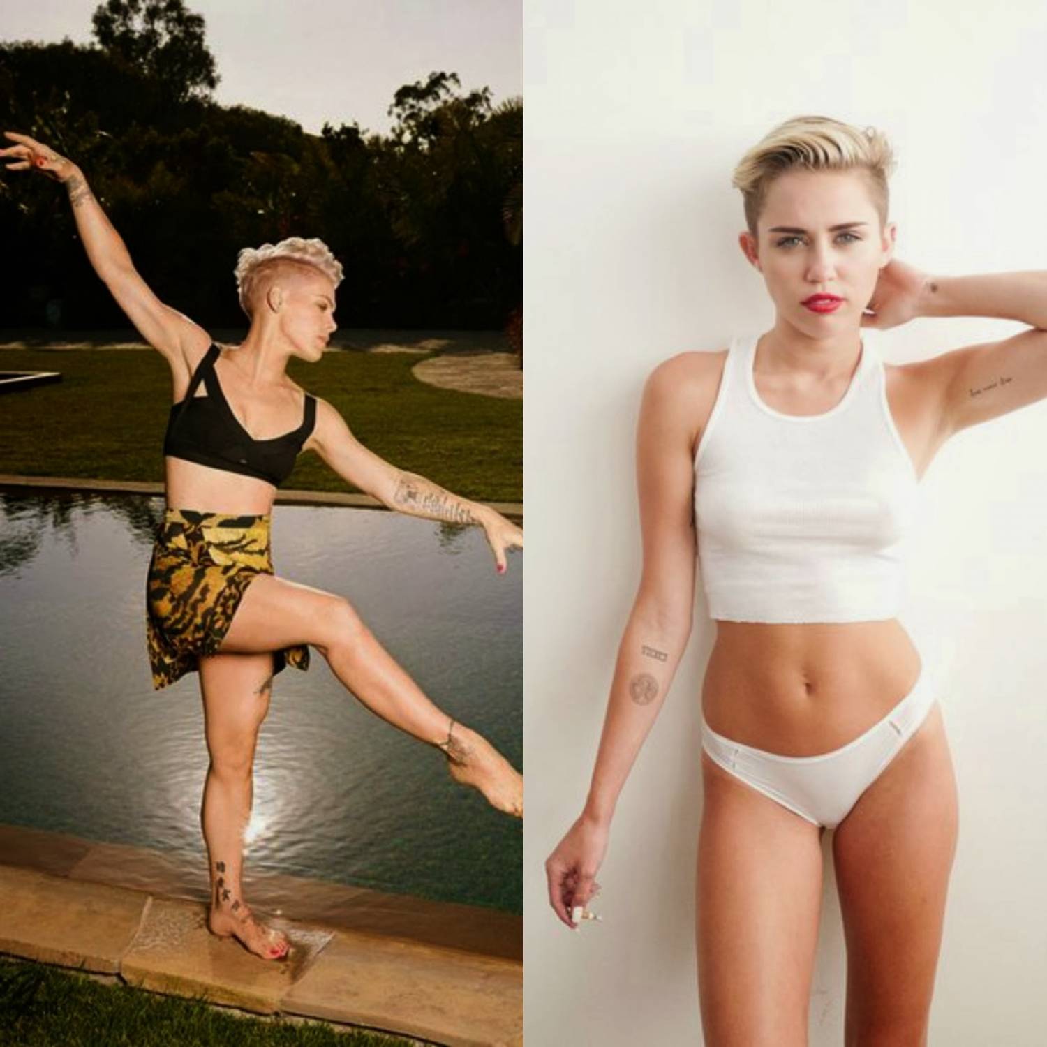 Փինքի կարծիքով Մայլի Սայրուսը տաղանդավոր է, բայց՝ վուլգար