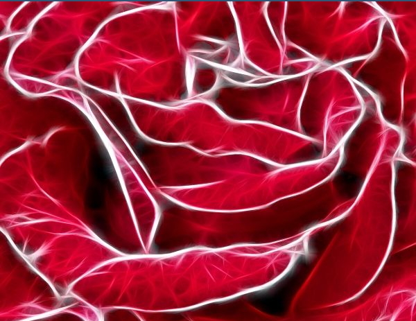 Ռադիոծրագիր սիրահարների համար. «Գիշերային կյանք». vol. 25