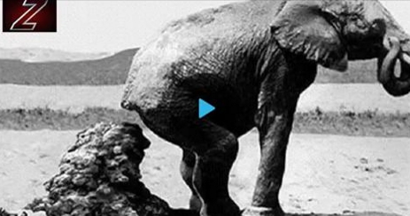 10 անհավանական մահվան դեպքերը. տեսանյութ