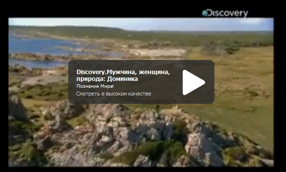 Discovery. Տղամարդը, կինը, բնությունը / Мужчина, женщина, природа (VIDEO)